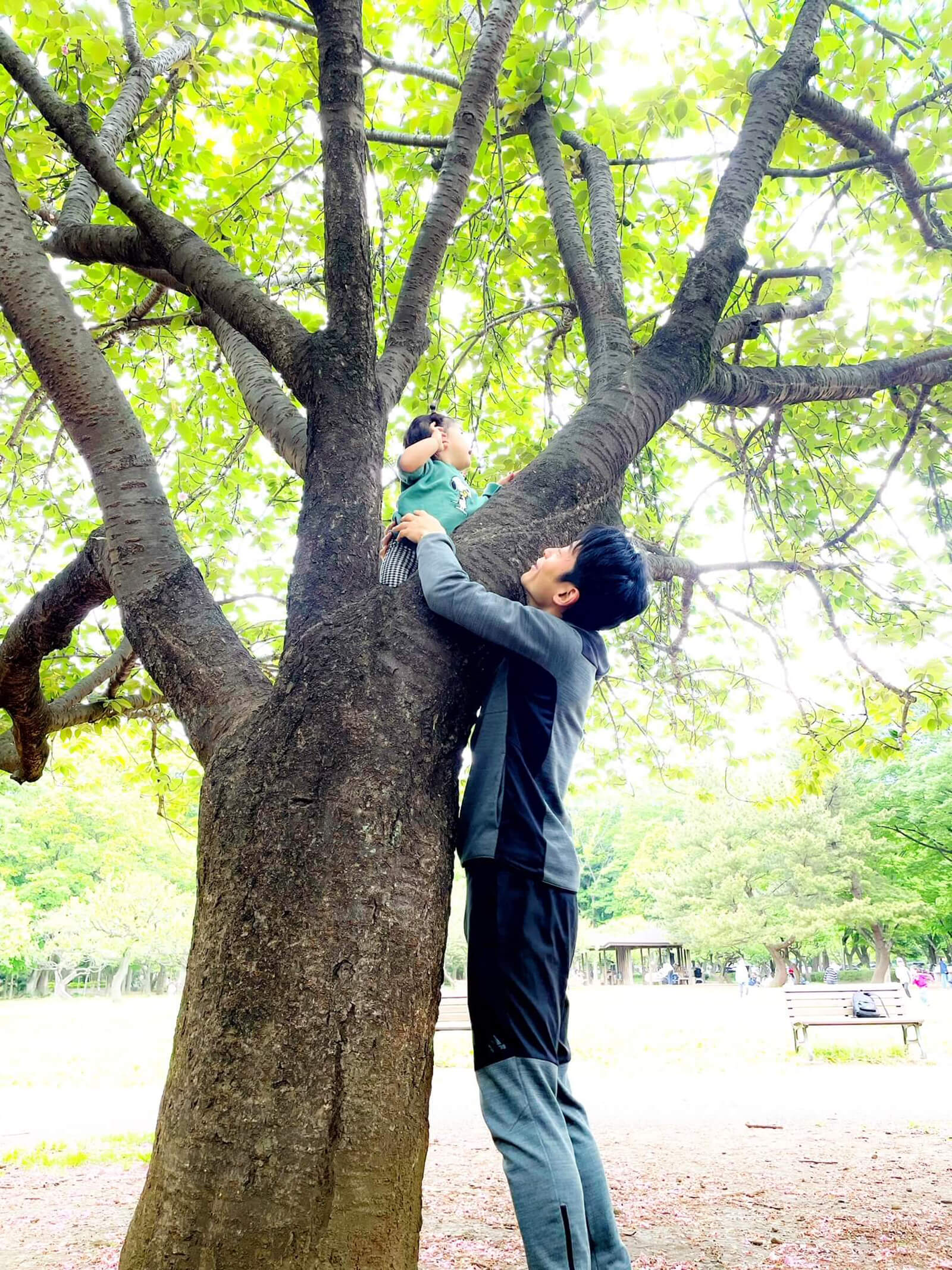 夫と木登りをする娘