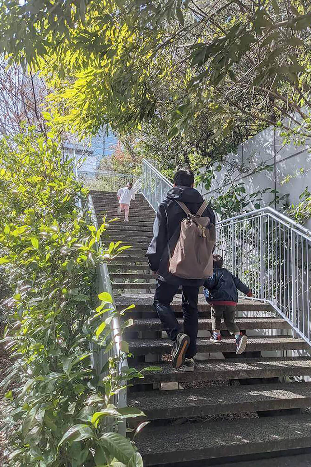 福岡の中心で、いつでも行ける山登り<アクロス山>