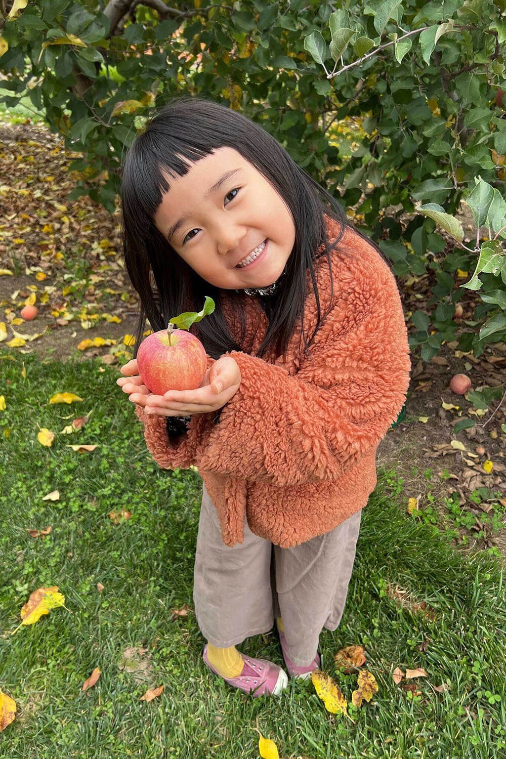 アメリカの子連れ旅 ~りんご狩りへ~