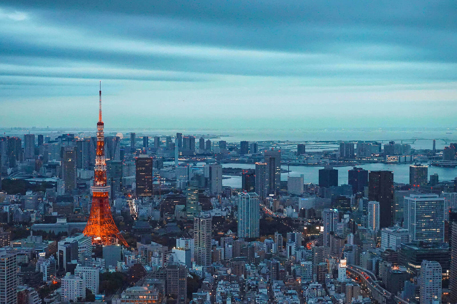 東京の風景の写真