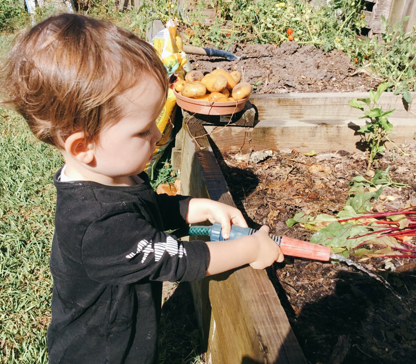 young boy watering the garden